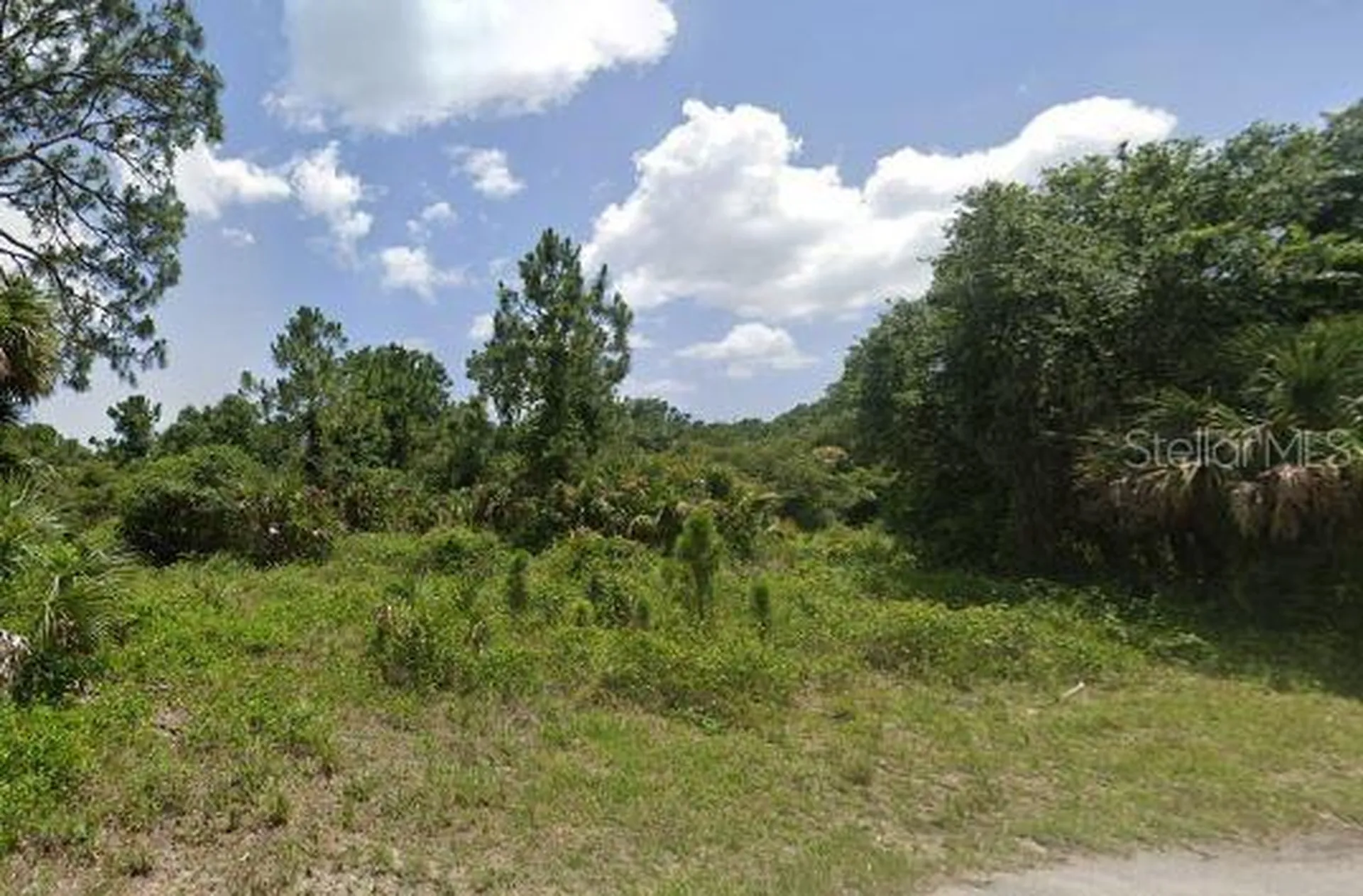 Ananas Road North Port FL 34288