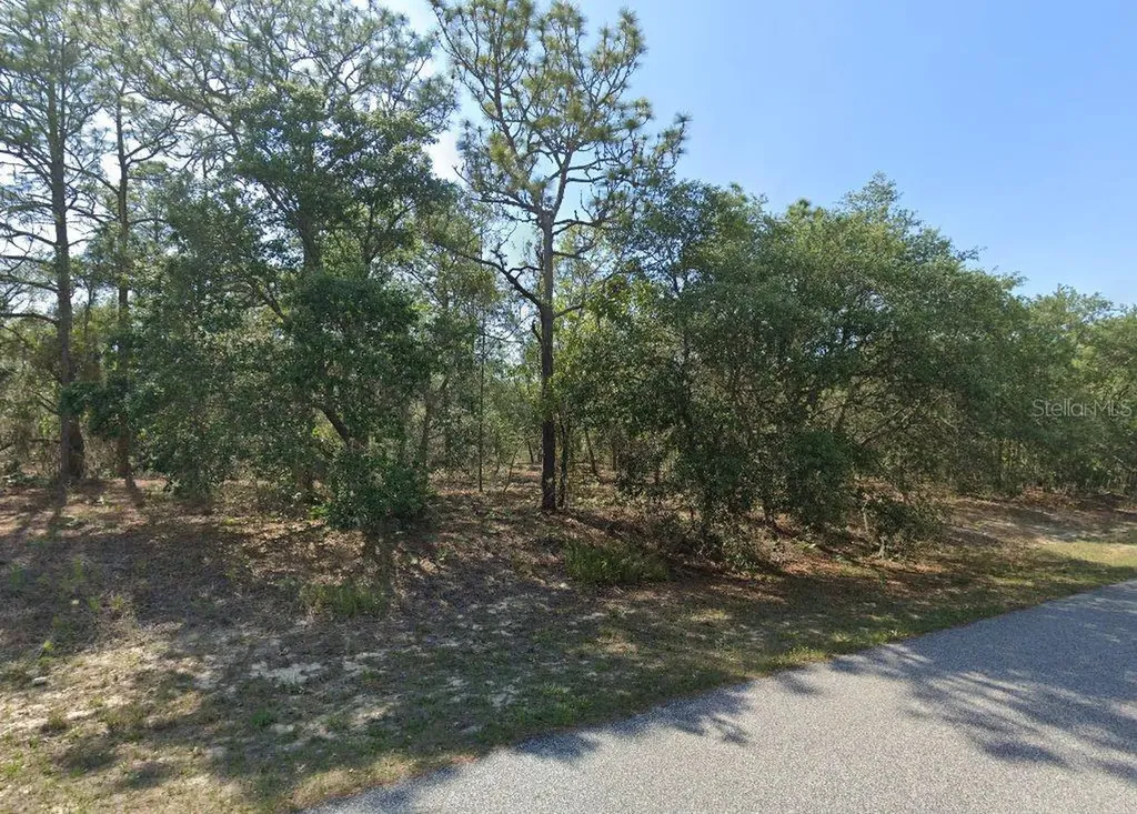 6004 N Darlington Drive Citrus Springs FL 34434