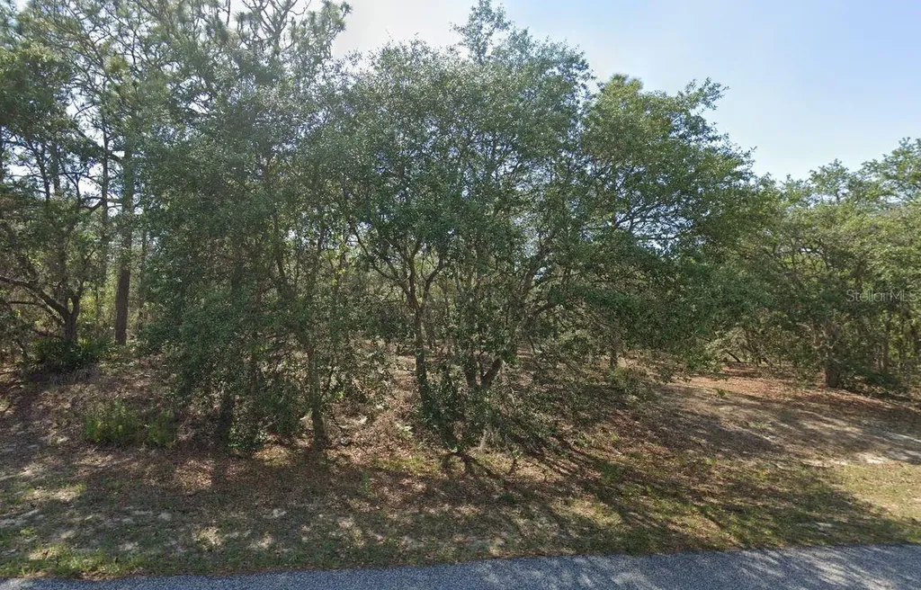 6004 N Darlington Drive Citrus Springs FL 34434
