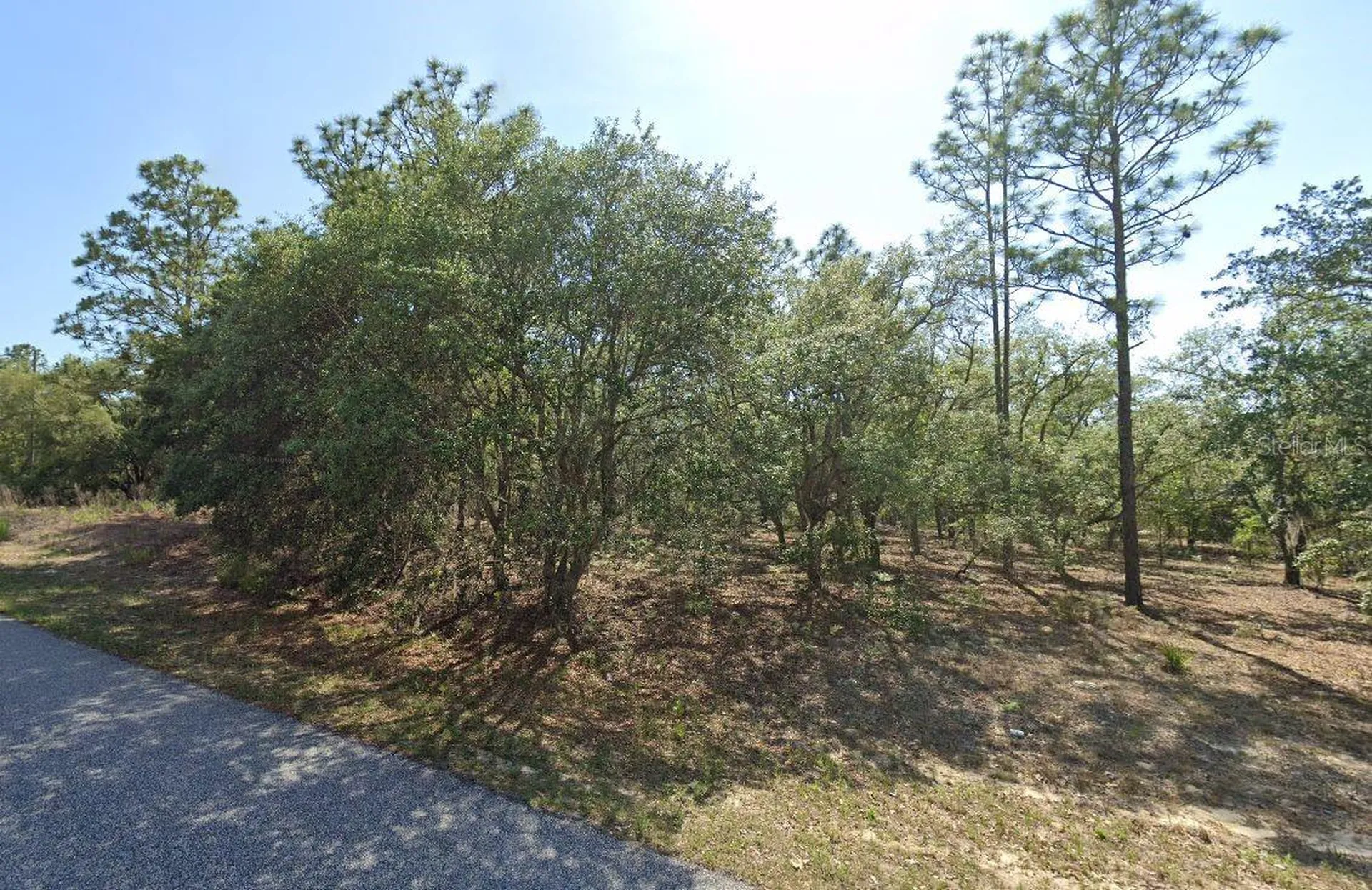 6004 N Darlington Drive Citrus Springs FL 34434