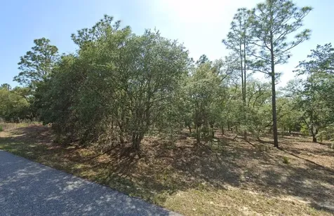 6004 N Darlington Drive Citrus Springs FL 34434