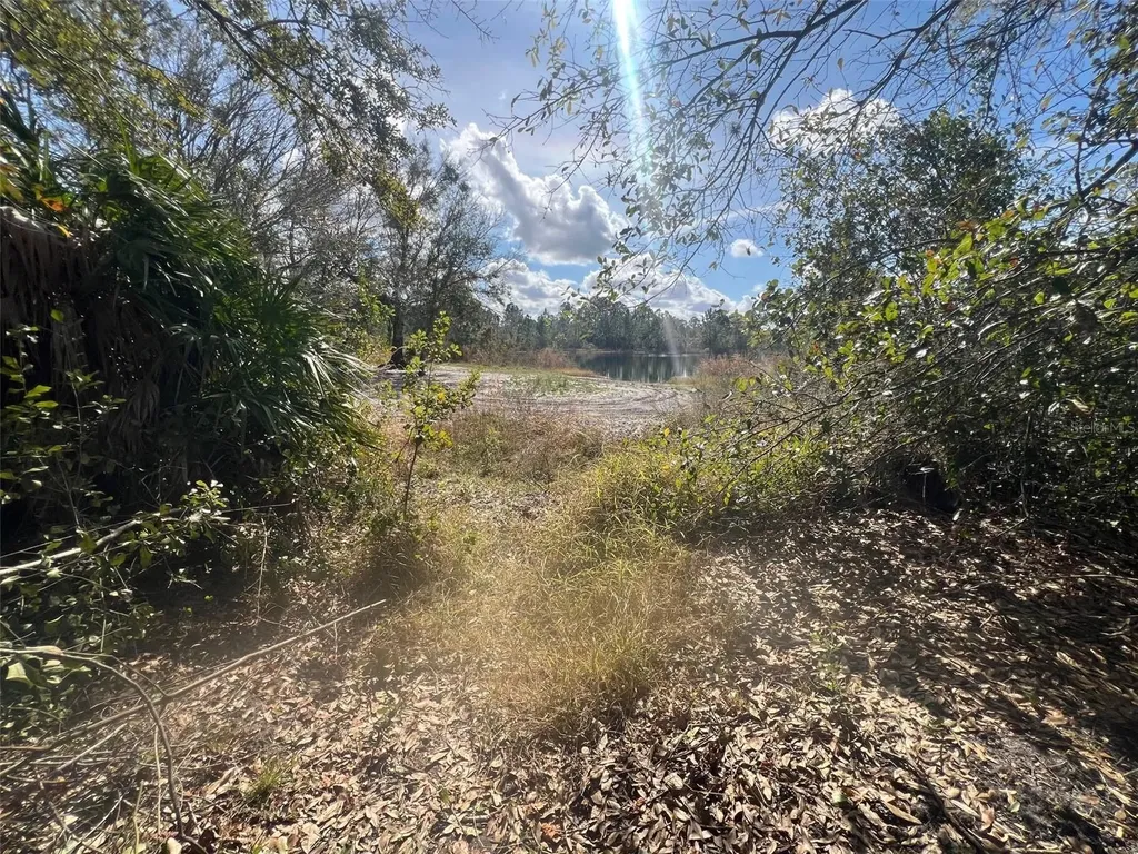 Silver Palm Drive Indian Lake Estates FL 33855