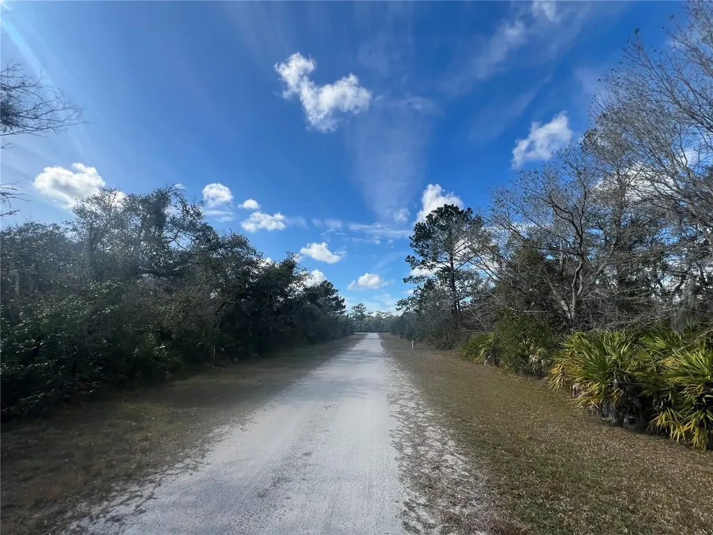 Silver Palm Drive Indian Lake Estates FL 33855