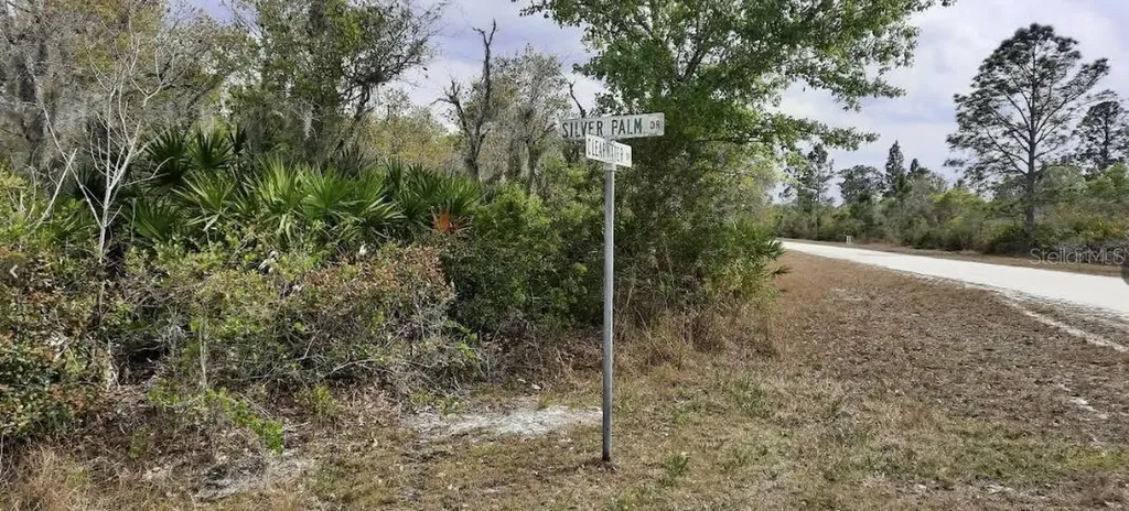 Silver Palm Drive Indian Lake Estates FL 33855
