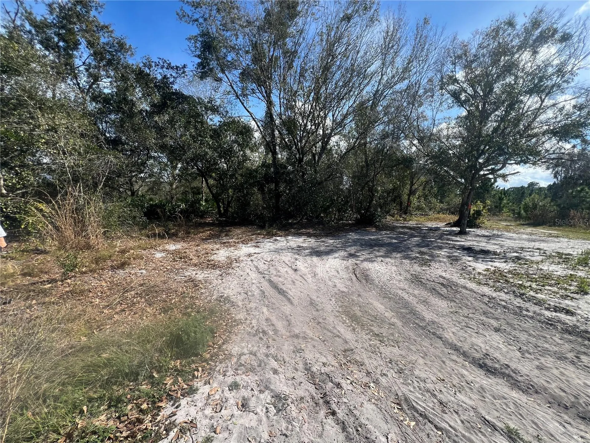 Silver Palm Drive Indian Lake Estates FL 33855