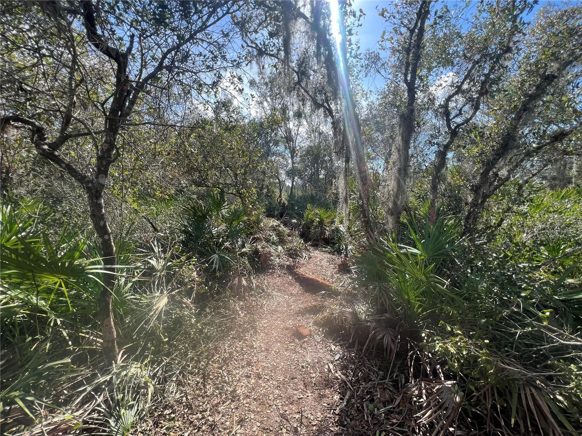 Silver Palm Drive Indian Lake Estates FL 33855