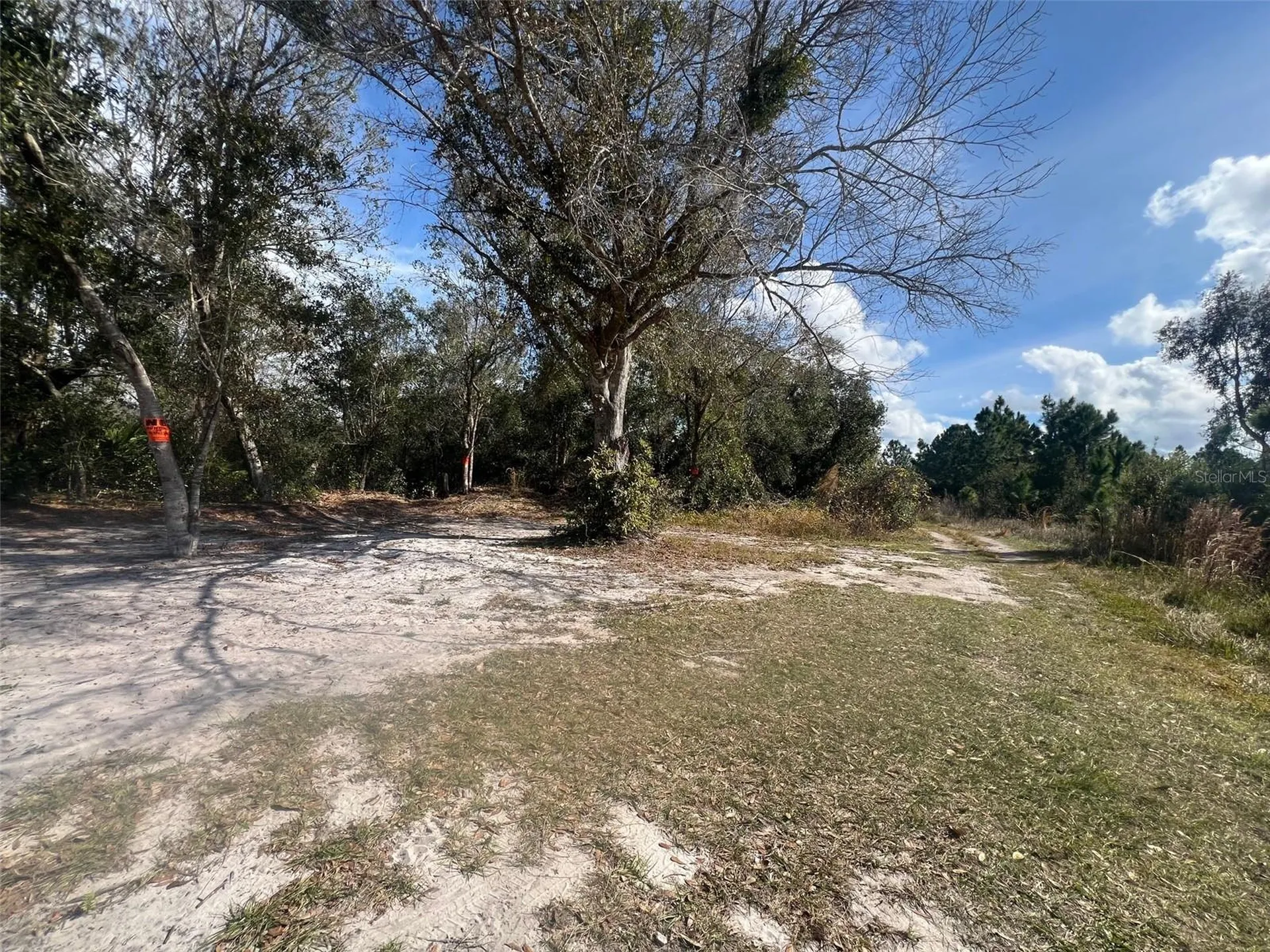Silver Palm Drive Indian Lake Estates FL 33855