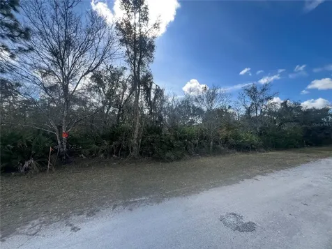 Silver Palm Drive Indian Lake Estates FL 33855