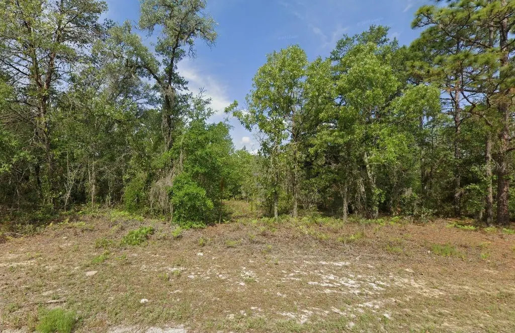 6502 N Matheson Drive Citrus Springs FL 34434