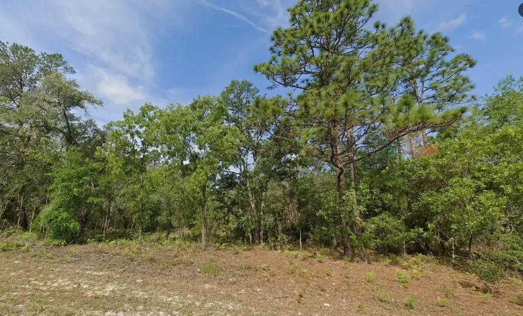 6502 N Matheson Drive Citrus Springs FL 34434