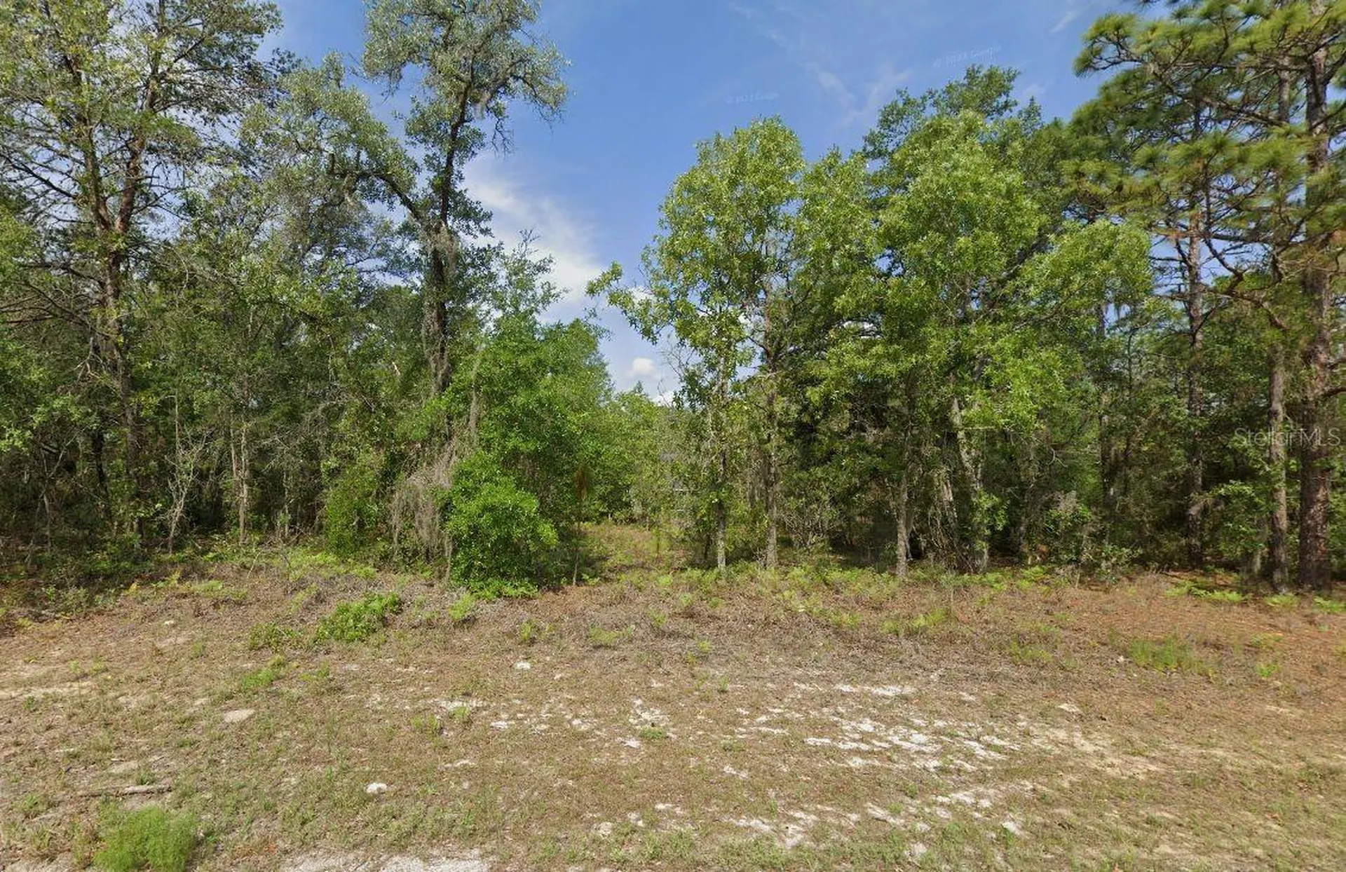 6502 N Matheson Drive Citrus Springs FL 34434