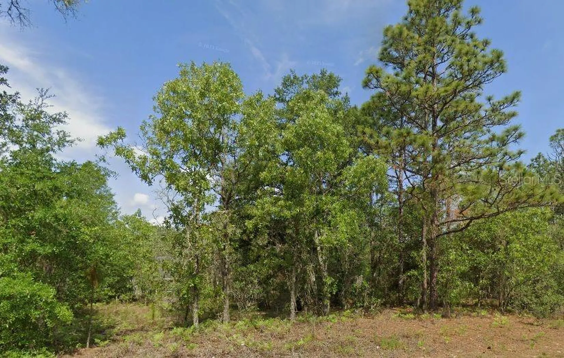 6502 N Matheson Drive Citrus Springs FL 34434