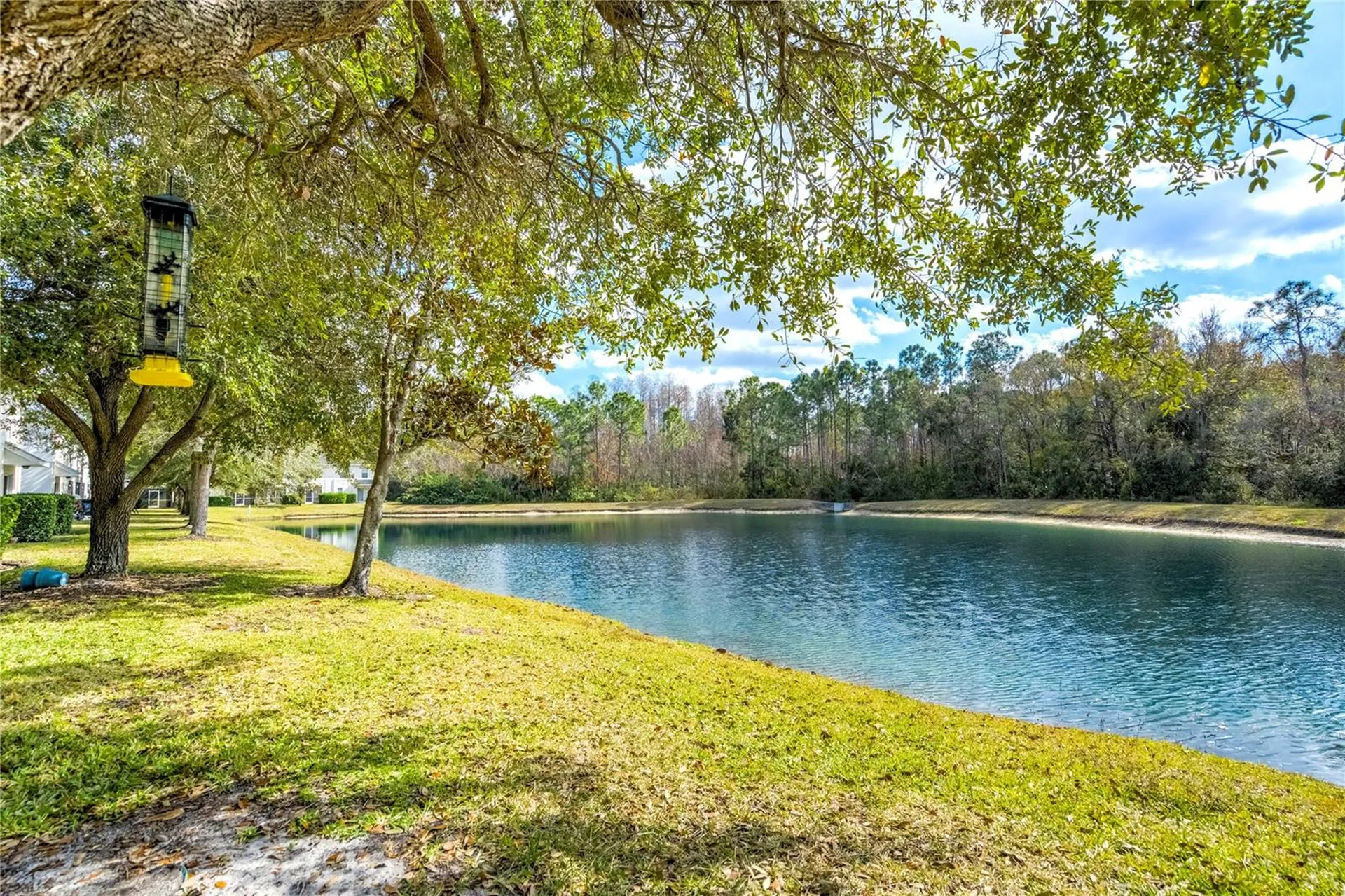 9550 Charlesberg Drive Tampa FL 33635