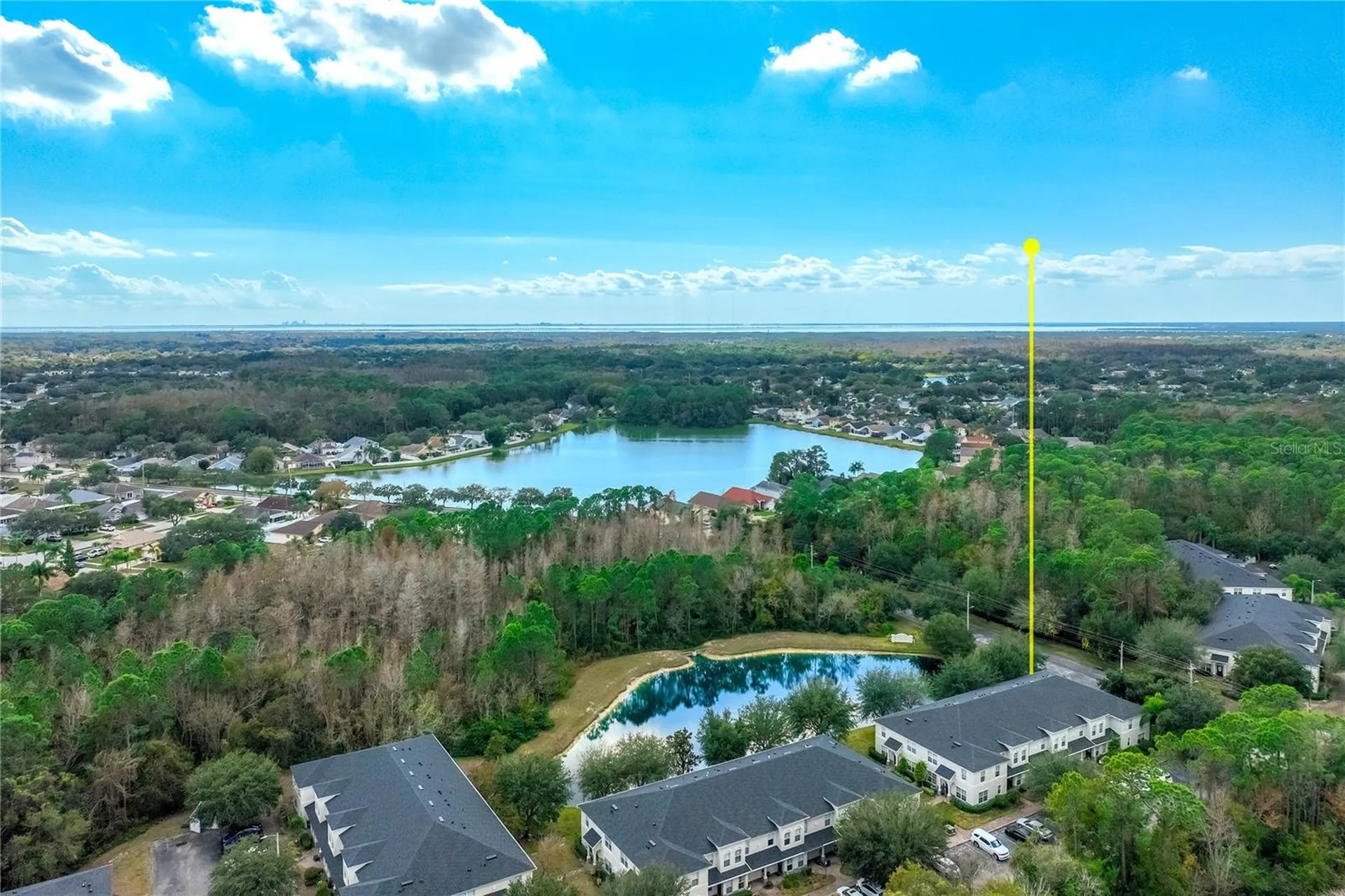 9550 Charlesberg Drive Tampa FL 33635