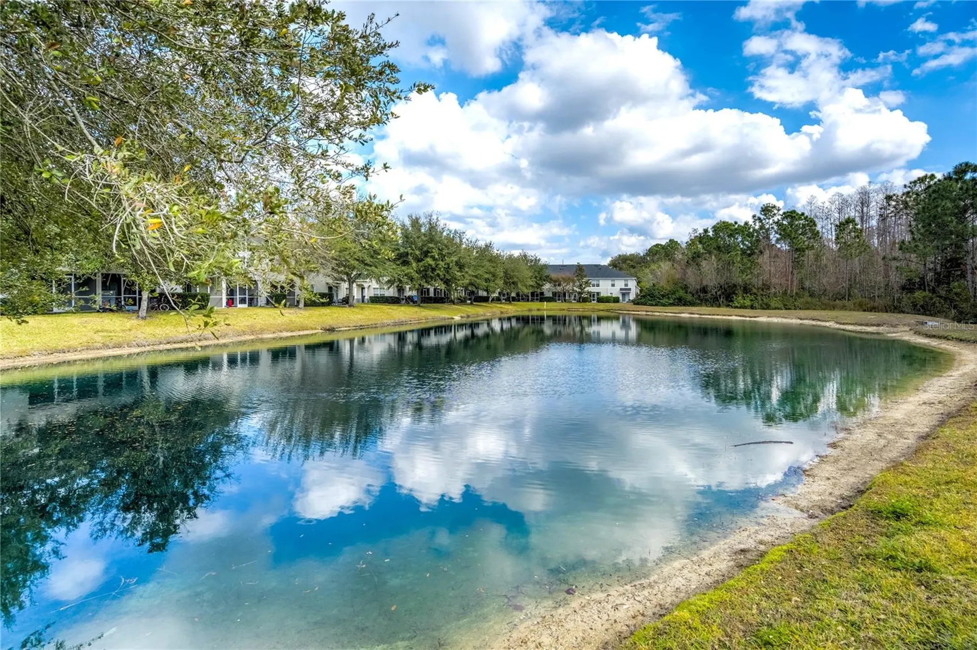 9550 Charlesberg Drive Tampa FL 33635