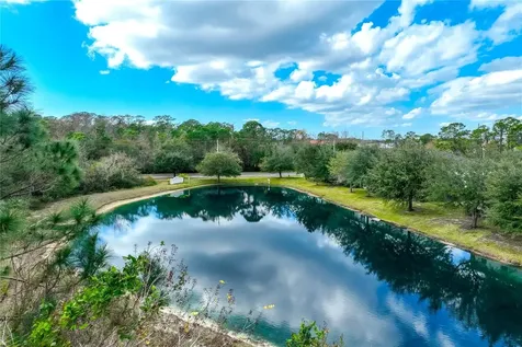 9550 Charlesberg Drive Tampa FL 33635