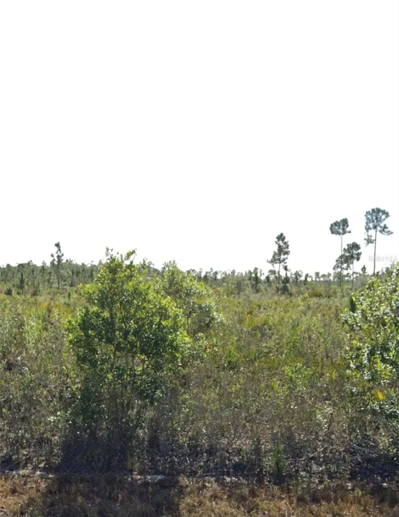 903 Calliandra Drive Indian Lake Estates FL 33855