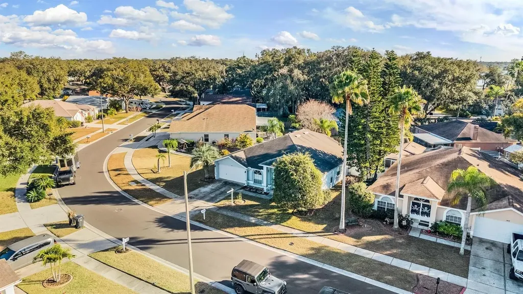 1813 Dockside Drive Valrico FL 33594