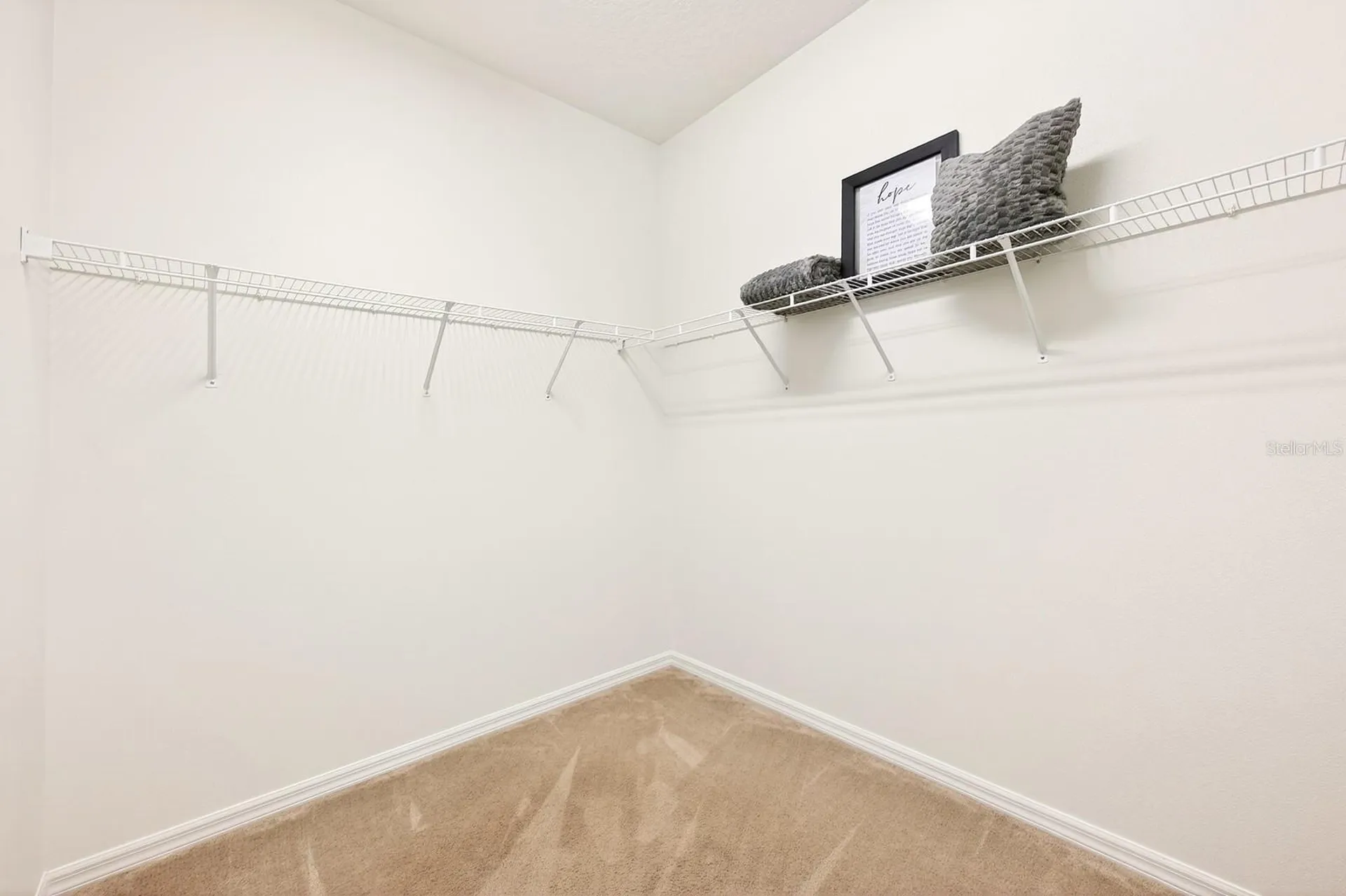13805 Tea Rose Drive Orlando FL 32828