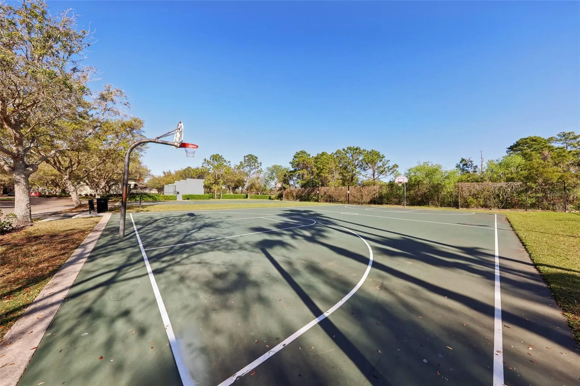 13805 Tea Rose Drive Orlando FL 32828