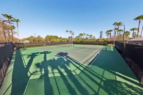 13805 Tea Rose Drive Orlando FL 32828