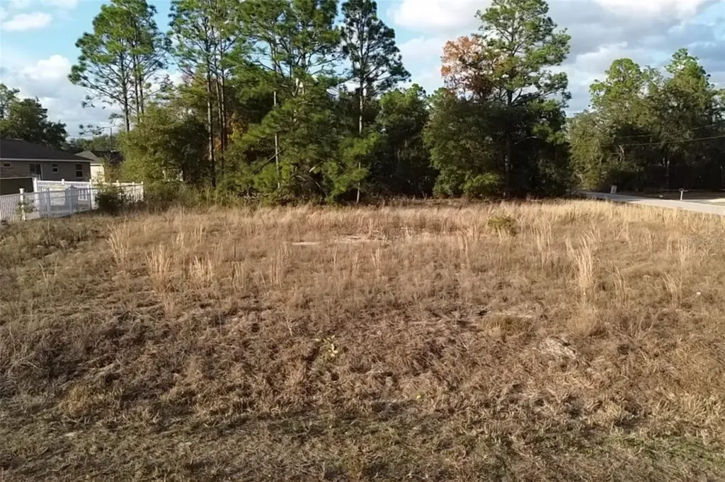 0 SE 159th Street Summerfield FL 34491
