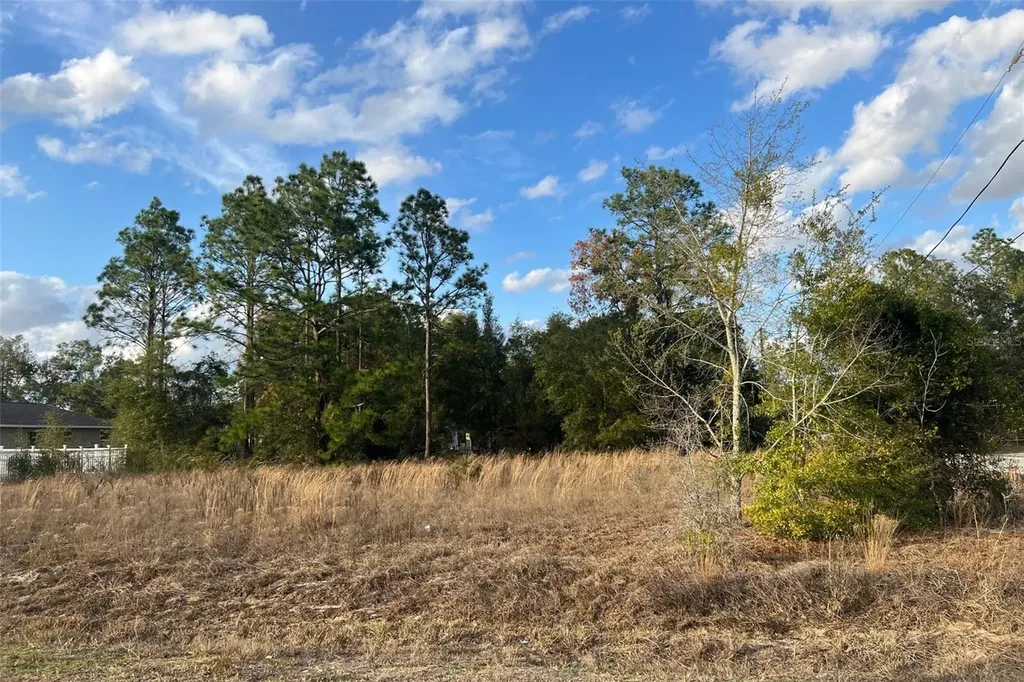 0 SE 159th Street Summerfield FL 34491