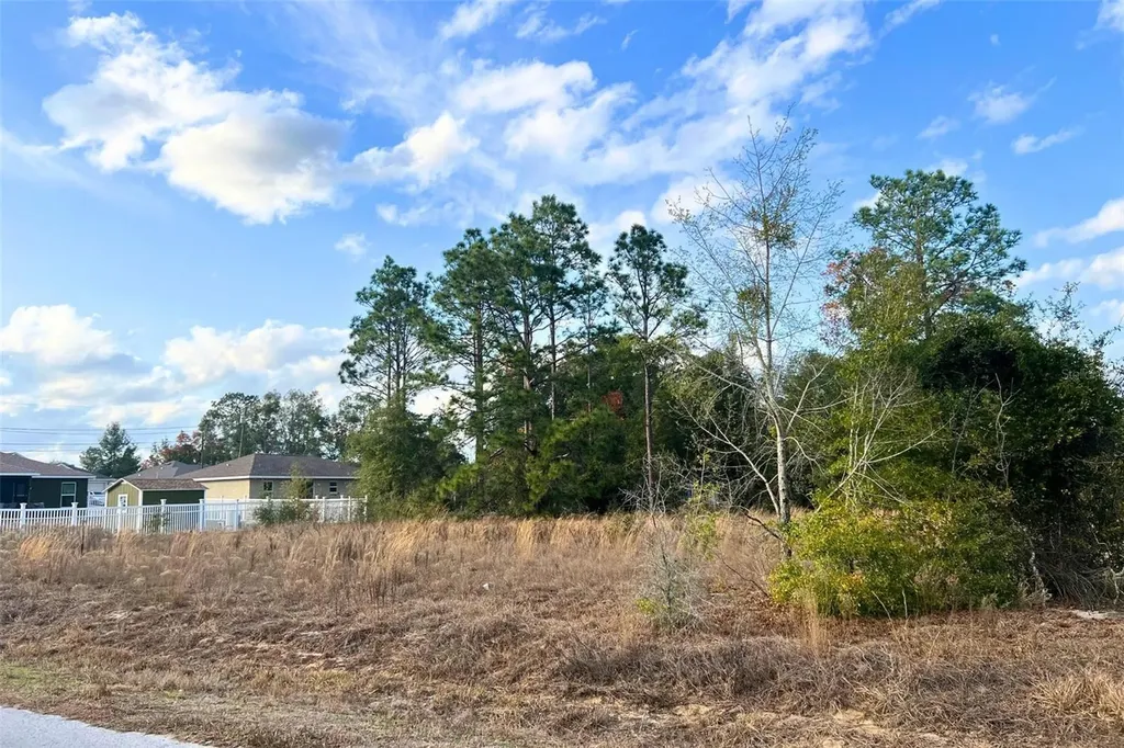 0 SE 159th Street Summerfield FL 34491