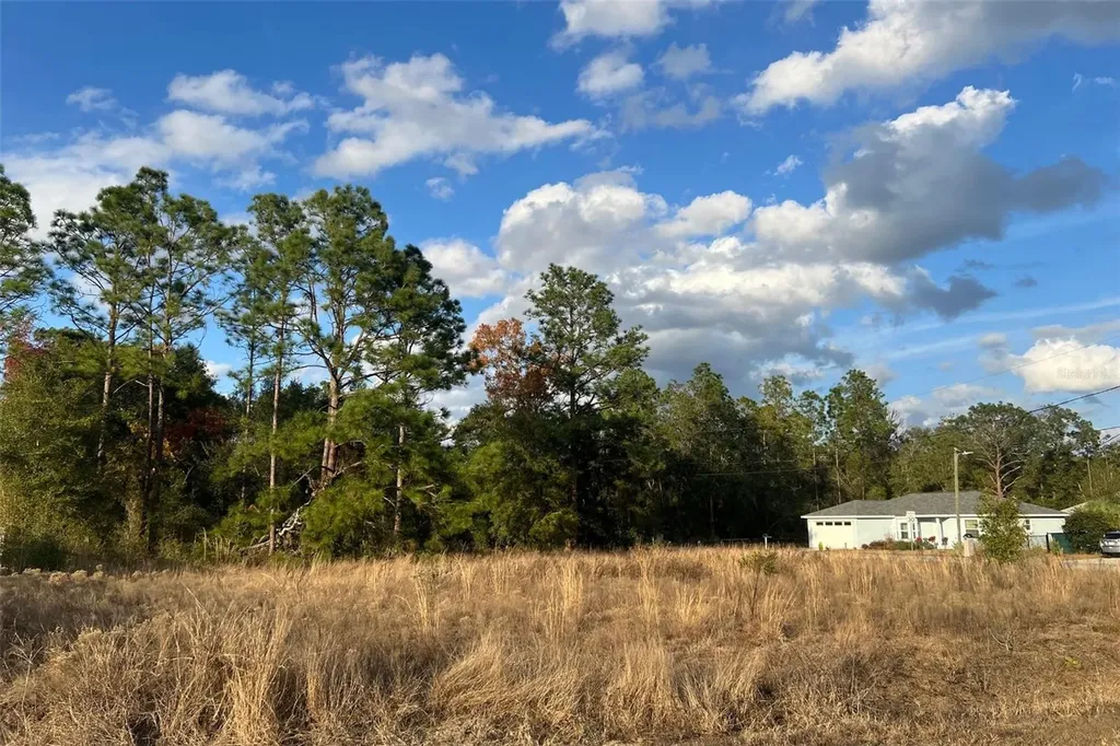 0 SE 159th Street Summerfield FL 34491