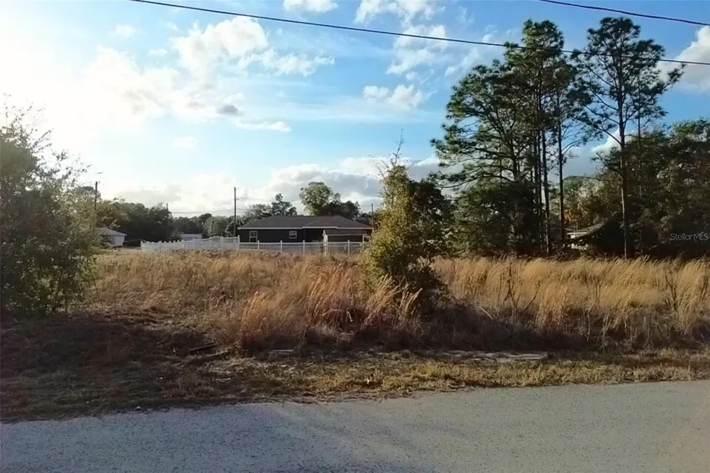 0 SE 159th Street Summerfield FL 34491