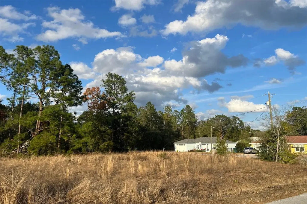 0 SE 159th Street Summerfield FL 34491