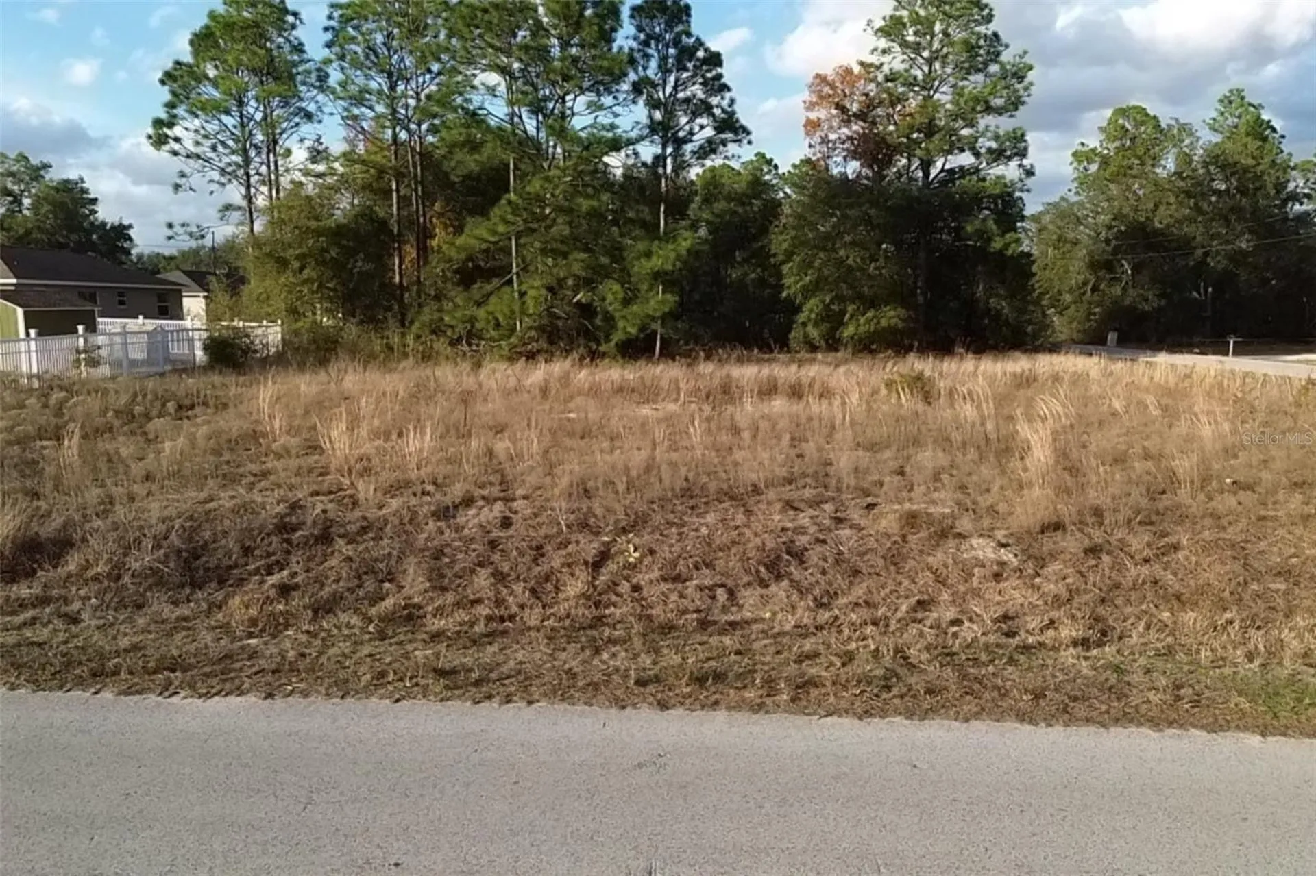 0 SE 159th Street Summerfield FL 34491