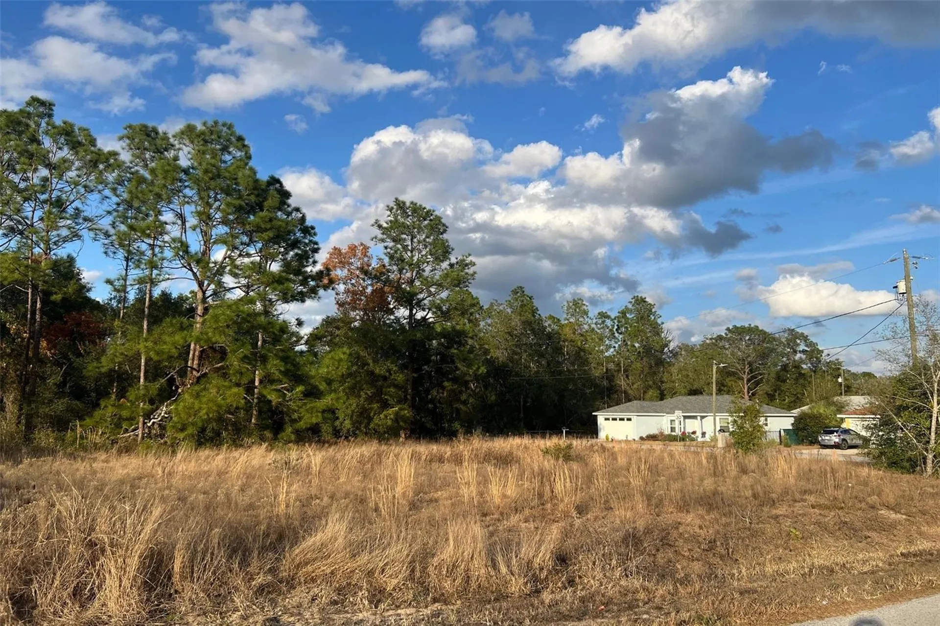 0 SE 159th Street Summerfield FL 34491