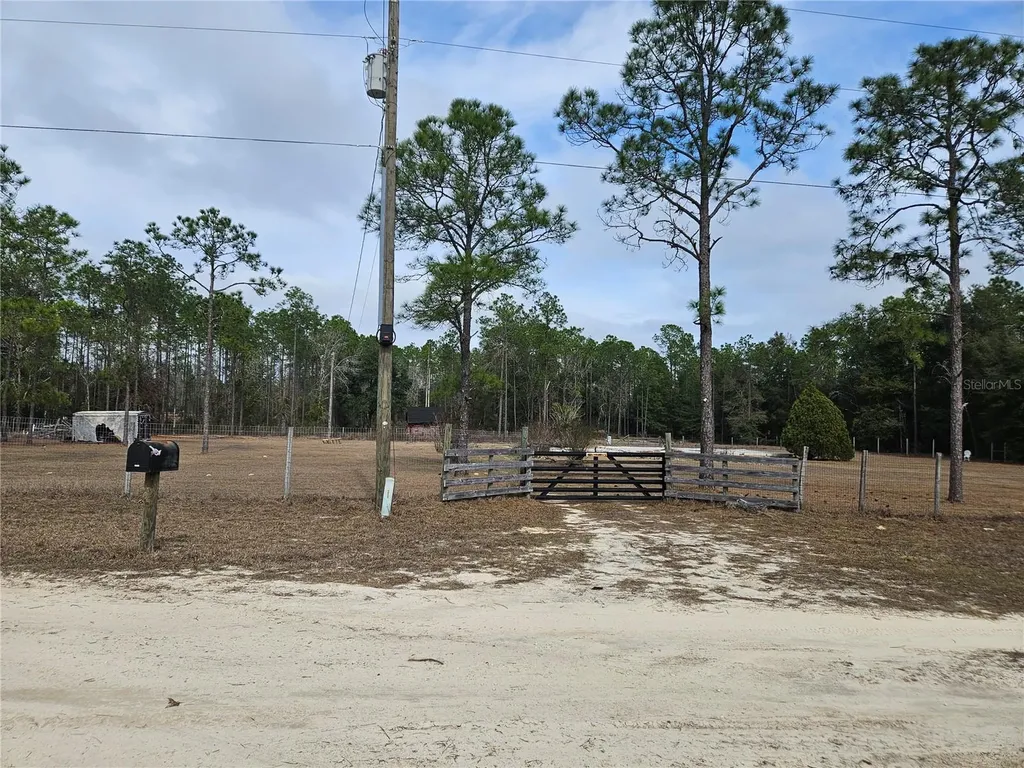 13391 NE 43rd Lane Williston FL 32696