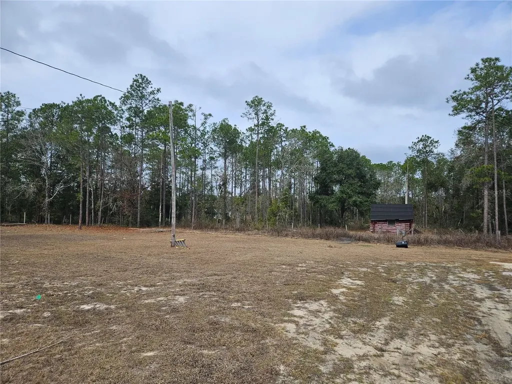 13391 NE 43rd Lane Williston FL 32696