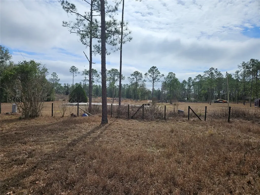 13391 NE 43rd Lane Williston FL 32696