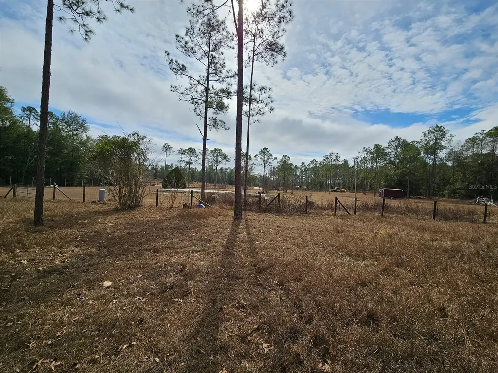 13391 NE 43rd Lane Williston FL 32696