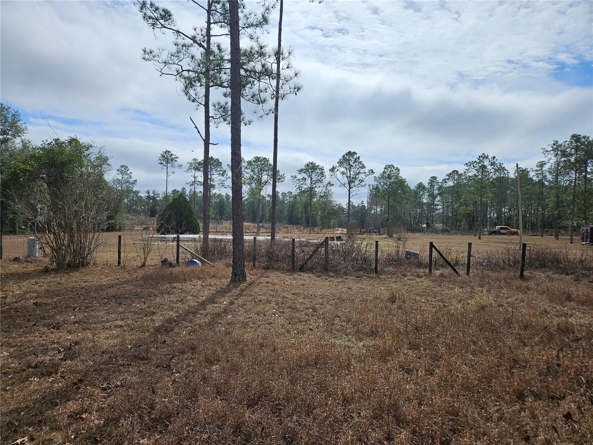 13391 NE 43rd Lane Williston FL 32696