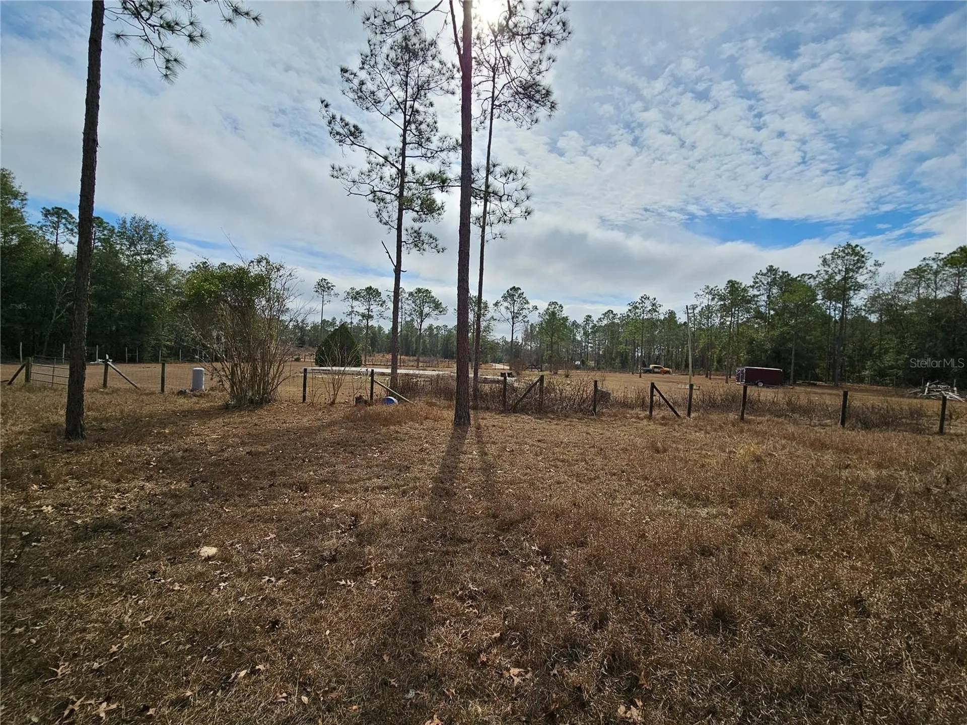 13391 NE 43rd Lane Williston FL 32696
