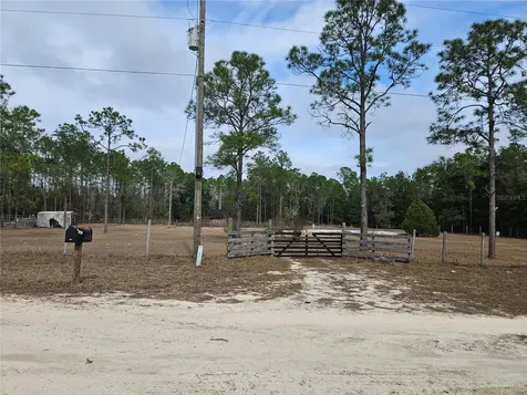 13391 NE 43rd Lane Williston FL 32696