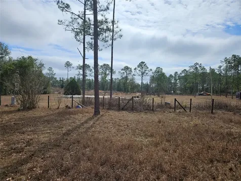 13391 NE 43rd Lane Williston FL 32696
