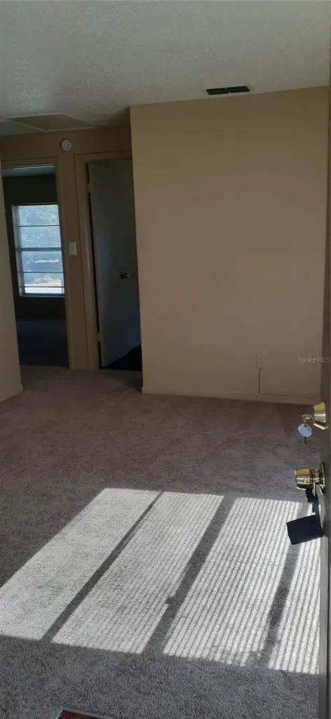 3919 E Fern Street Tampa FL 33610
