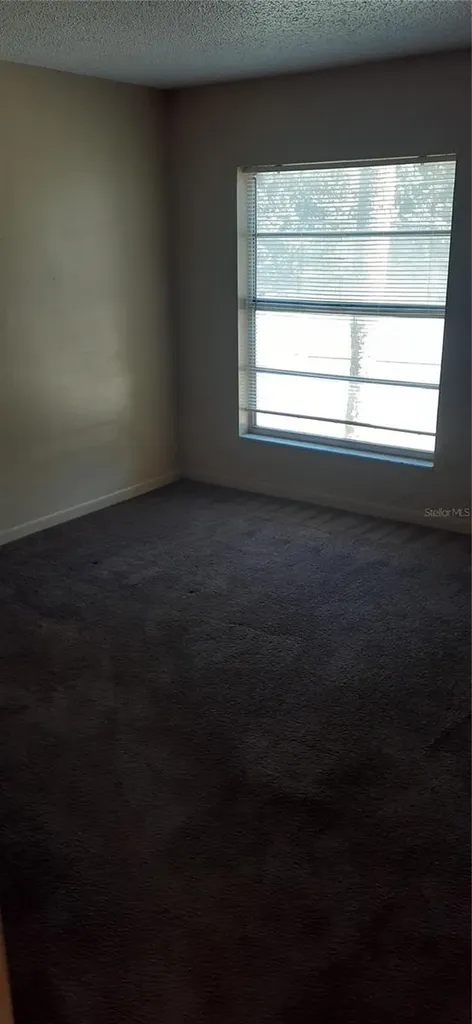 3919 E Fern Street Tampa FL 33610