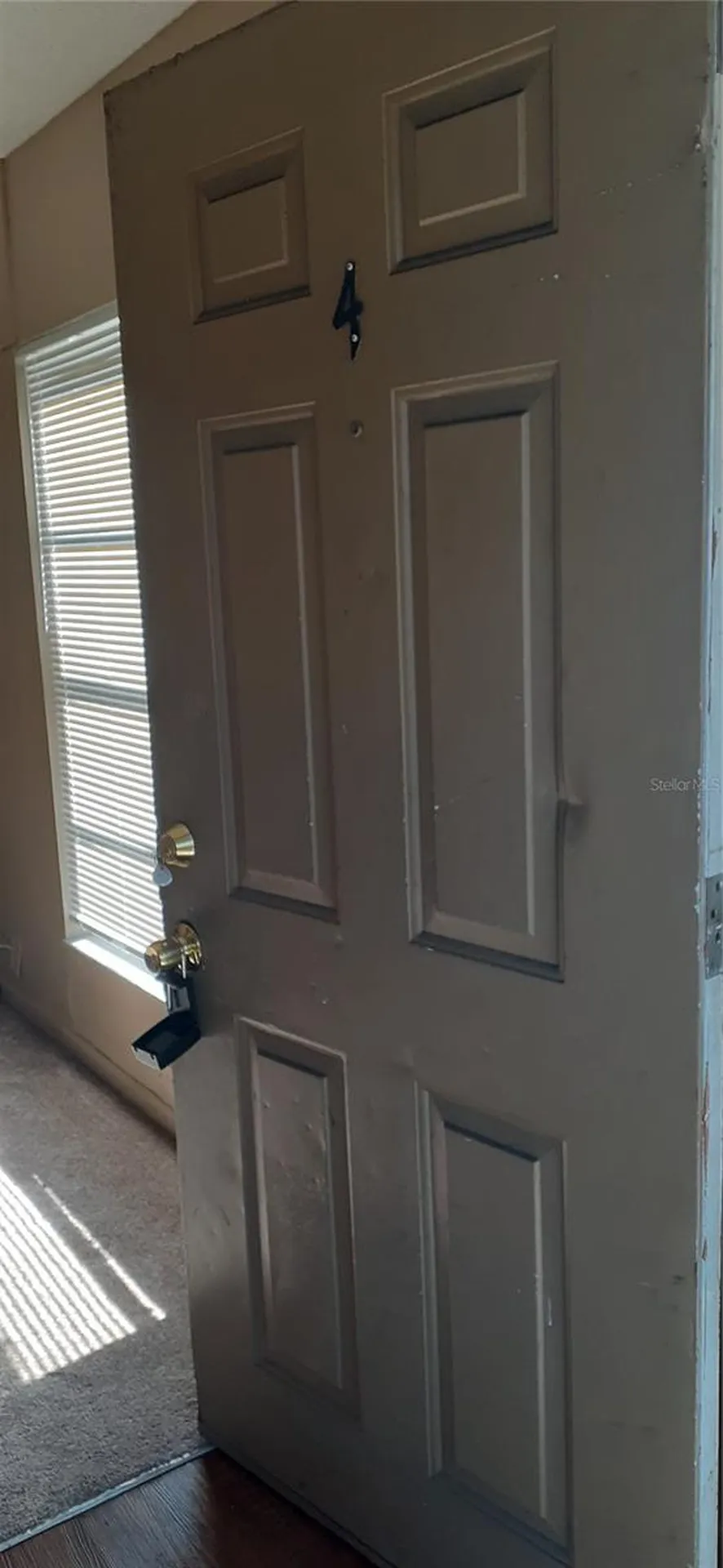 3919 E Fern Street Tampa FL 33610