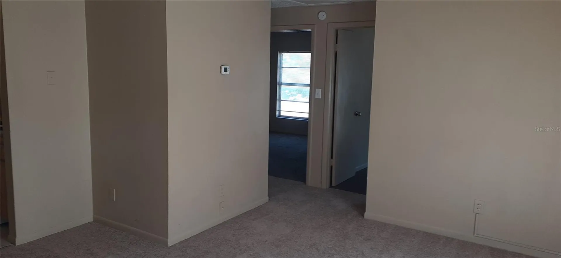 3919 E Fern Street Tampa FL 33610