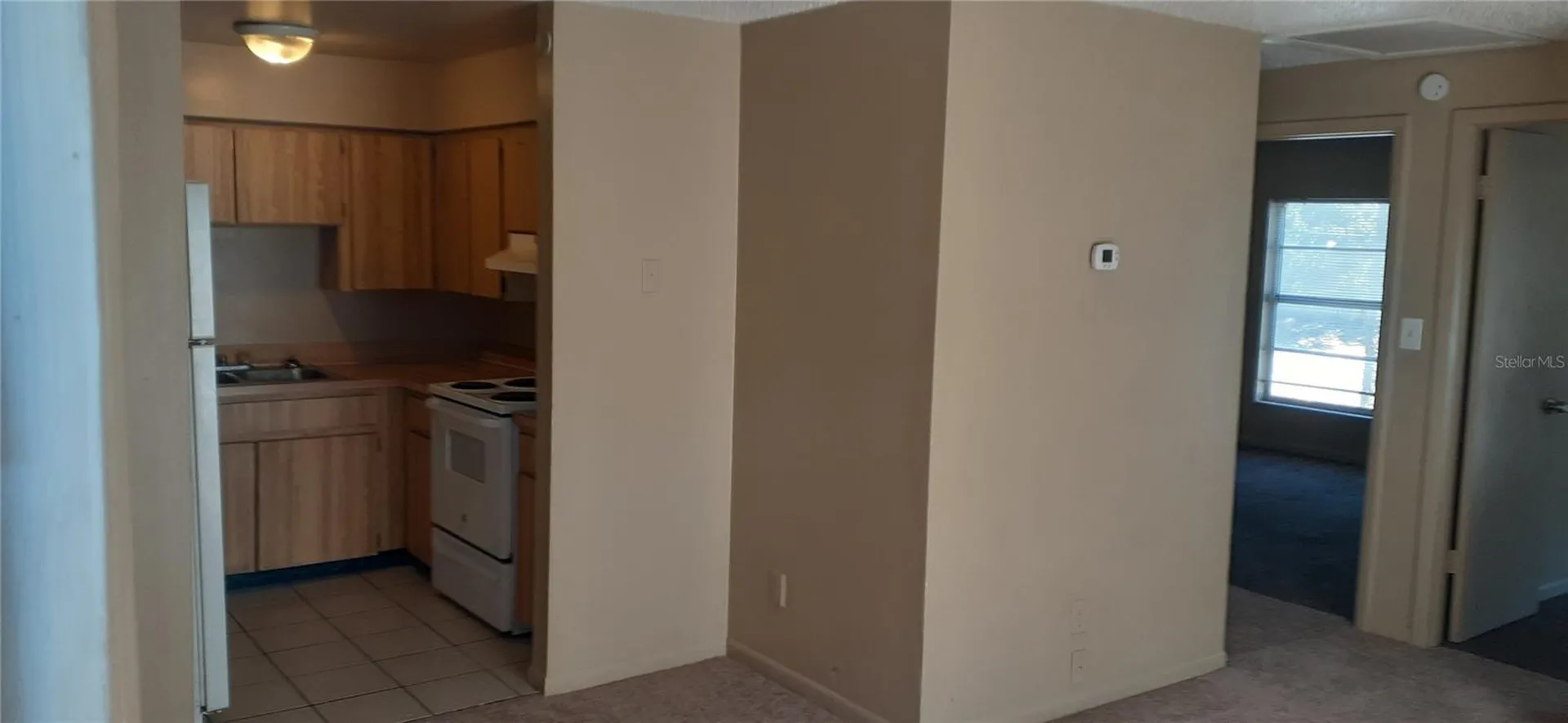 3919 E Fern Street Tampa FL 33610