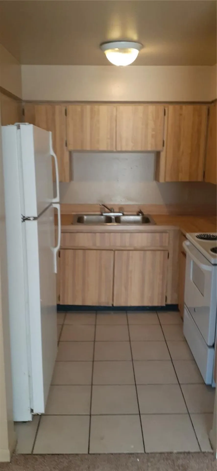 3919 E Fern Street Tampa FL 33610