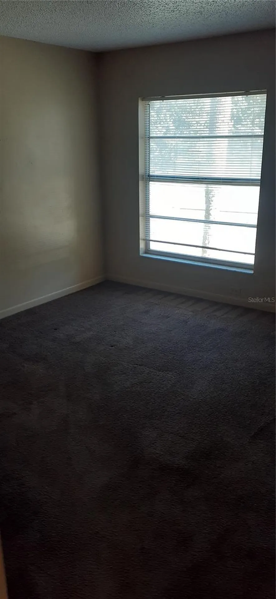 3919 E Fern Street Tampa FL 33610
