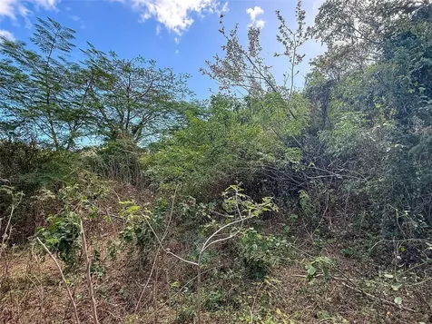 115 Calle Conde De Mirasol Vieques PR 00765