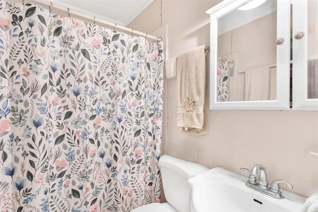 32828 Lake Eustis Drive Tavares FL 32778